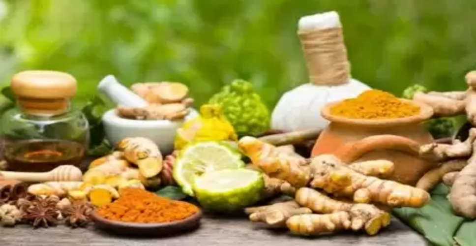5th edition of Global Ayurveda Festival to focus on health challenges
