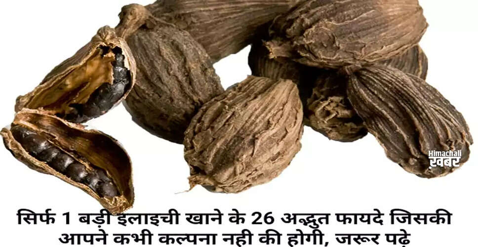 Exploring the Incredible Benefits of Black Cardamom