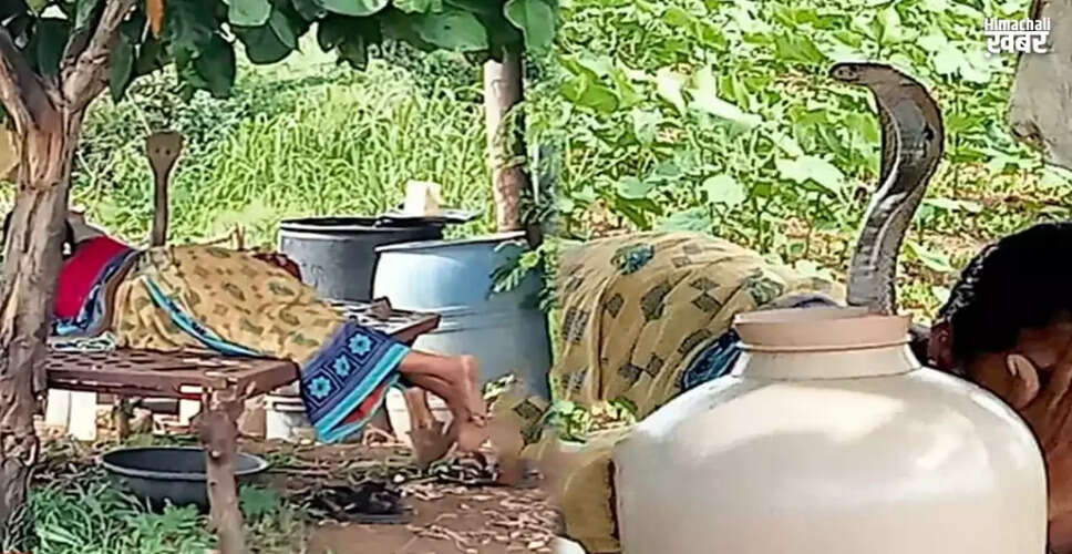 Woman's Terrifying Encounter with a Snake Goes Viral