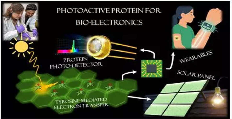Breakthrough in Eco-Friendly Electronics: Bacterial Proteins Show Semiconductor Properties