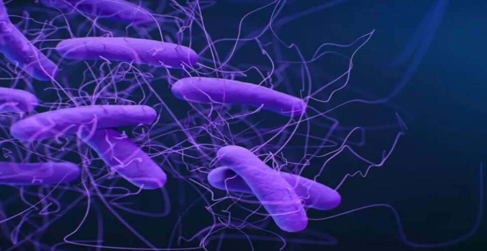 Kerala Issues Health Alert Amid Shigella Infection Reports