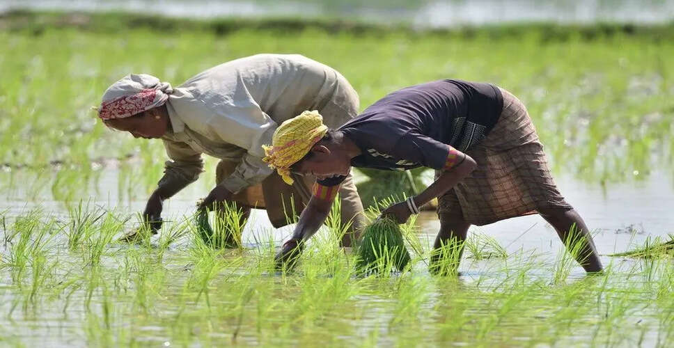 Impact of Excess Pre-Monsoon Rains on Assam's Summer Crops