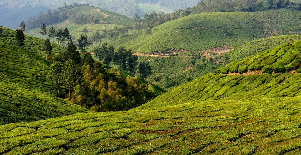 Exploring Kerala: A Historical and Political Overview