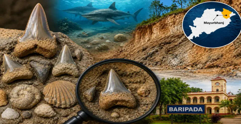 Ancient Secrets Unveiled: Fossils in Odisha Reveal Baripada's Marine Past