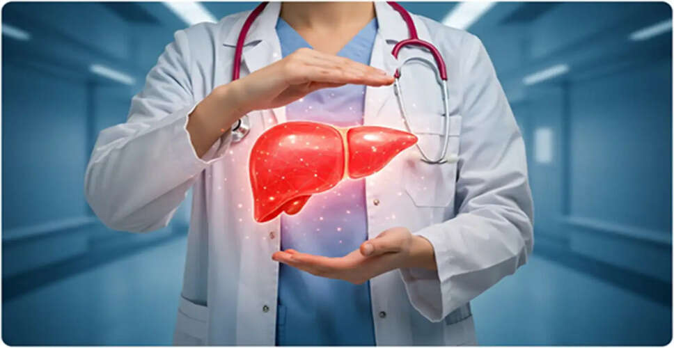 Understanding Liver Health: The Importance of a Balanced Lifestyle