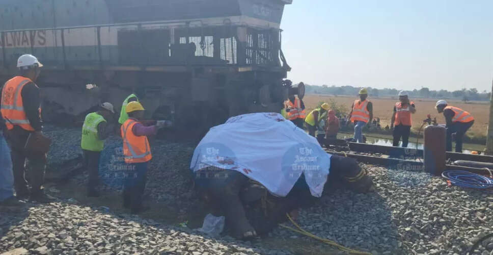 Tragic Collision: Seven Elephants Killed by Train in Assam