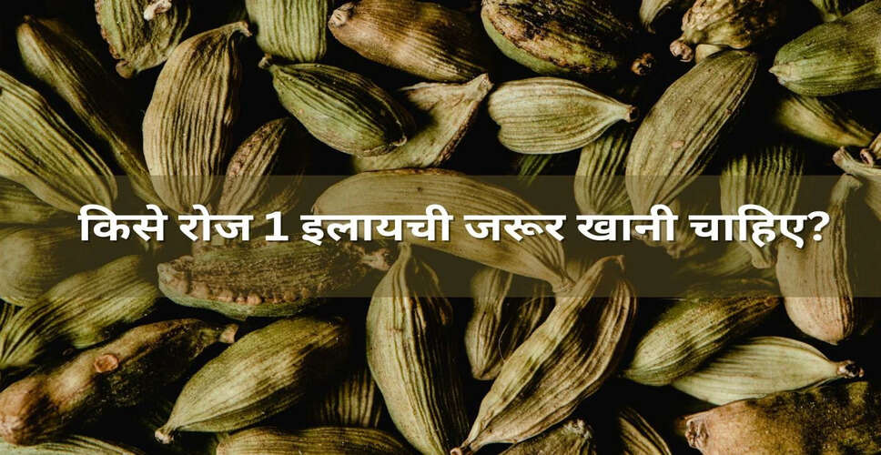 Daily Cardamom Consumption: Who Should Include It in Their Diet?