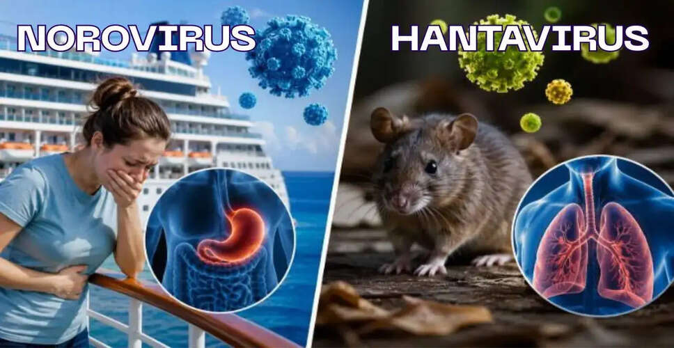 Understanding Norovirus and Hantavirus: Key Differences and Health Risks
