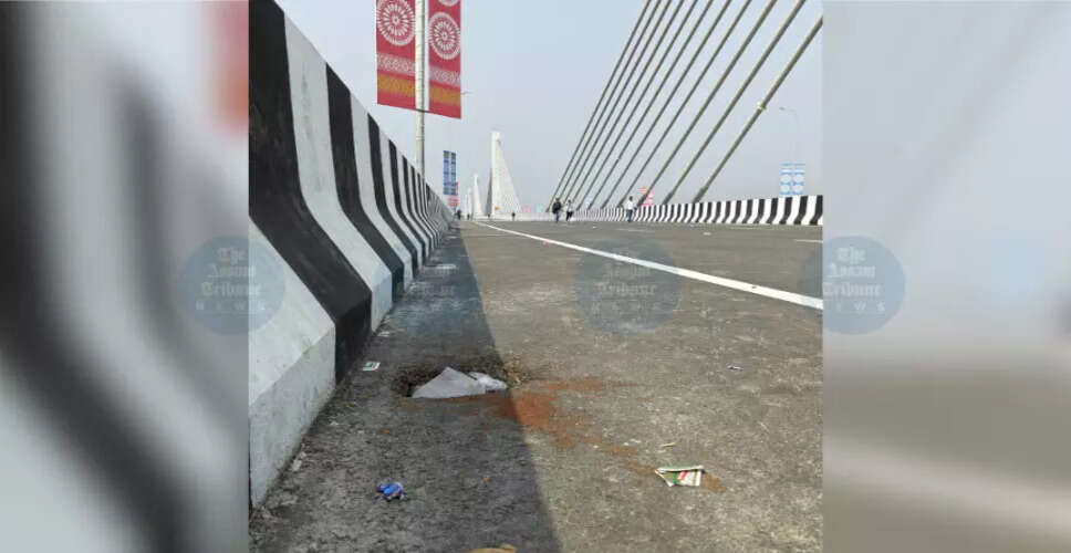 Guwahati's New Flyovers: A Mixed Blessing for Residents