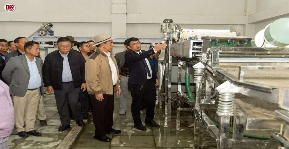 Mizoram Celebrated as India's Ginger Capital: A Boost for Local Farmers