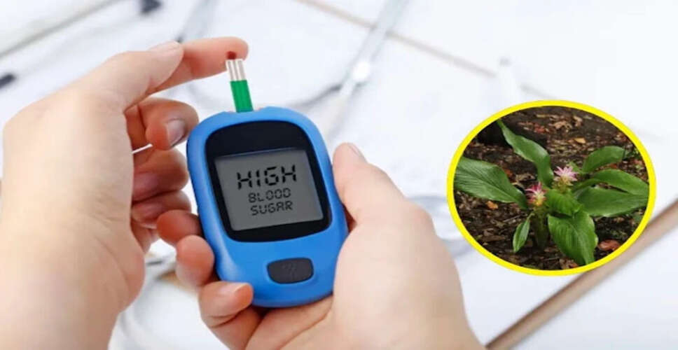 The Miracle Leaf: A Natural Remedy for Diabetes and More