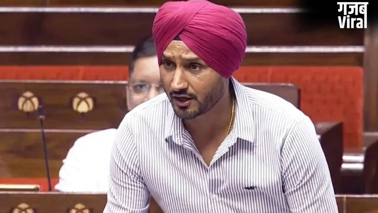 Harbhajan Singh Challenges Security Withdrawal in Court