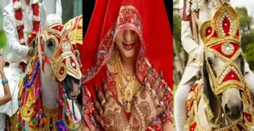 Unusual Wedding in Uttar Pradesh: One Bride, Two Grooms