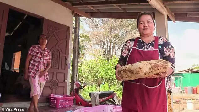 Woman Discovers Valuable Whale Vomit on Thai Beach, Becomes Instant Millionaire