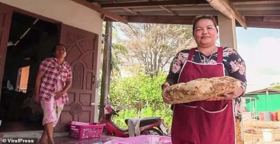 Woman Discovers Valuable Whale Vomit on Thai Beach, Becomes Instant Millionaire
