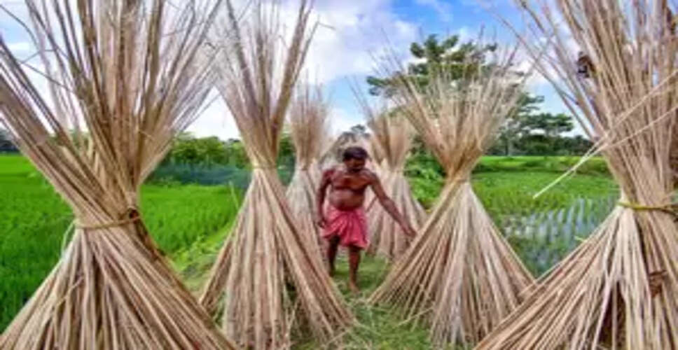 India curbs jute imports from Bangladesh as dumping hurts local farmers and mills
