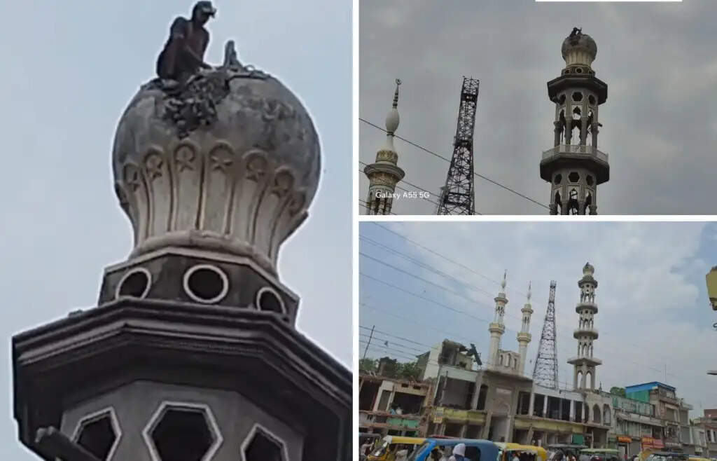 Action Against 50-Year-Old Illegal Mosque in Chanduali, UP