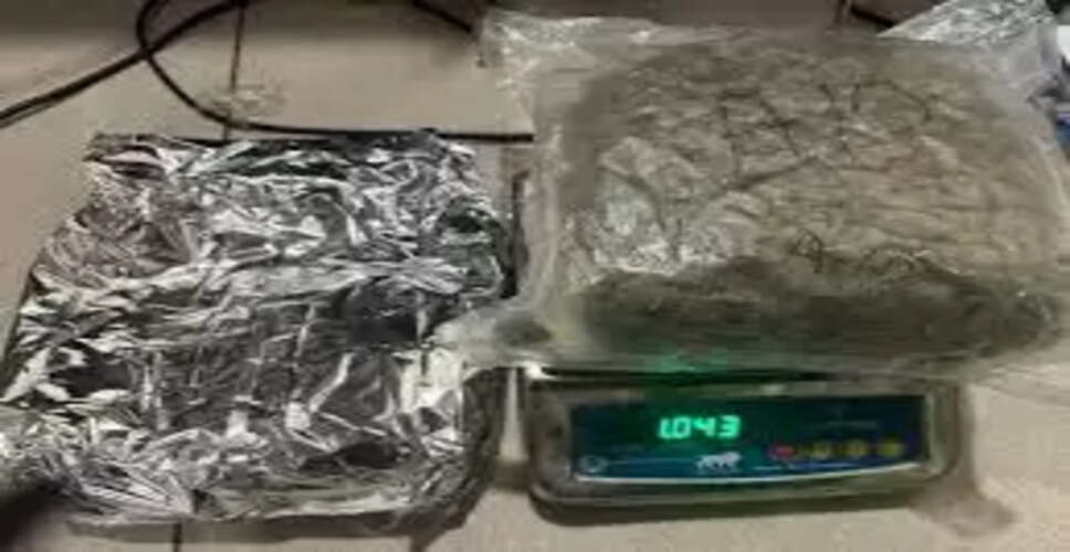 Major Drug Bust at Jaipur Airport: 10 Kilograms of Hydroponic Cannabis Seized