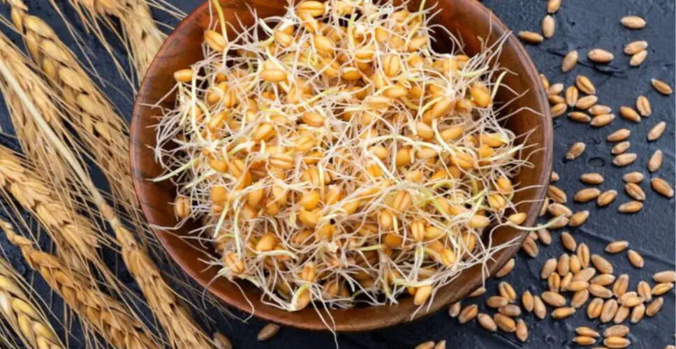 Health Benefits of Eating Sprouted Wheat Every Morning
