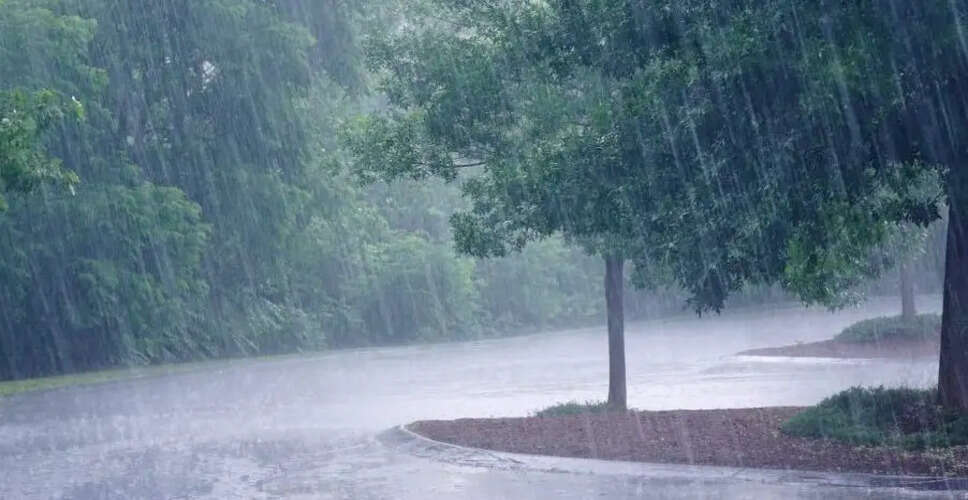 Is the Southwest Monsoon Arriving Early? IMD Predicts Changes Ahead!