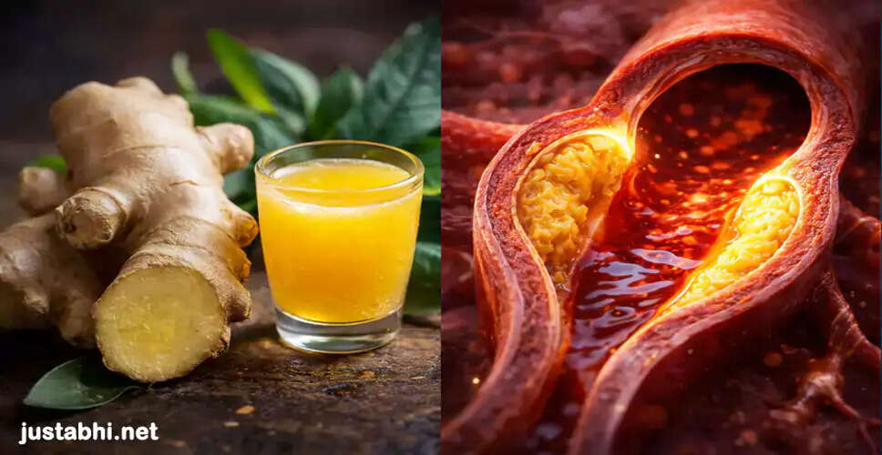 Effective Ayurvedic Remedies to Prevent Heart Blockage