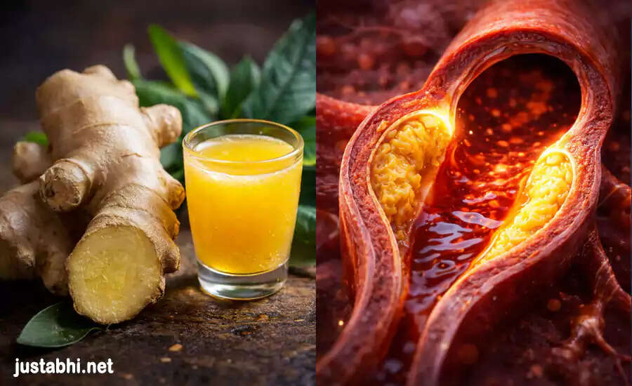 Effective Ayurvedic Remedies to Prevent Heart Blockage