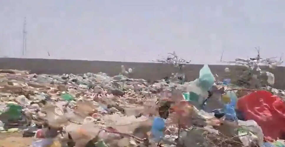 Outrage Erupts Over Discovery of Dead Cows in Rajasthan Dumping Ground