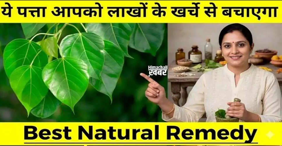The Incredible Health Benefits of Peepal Leaves