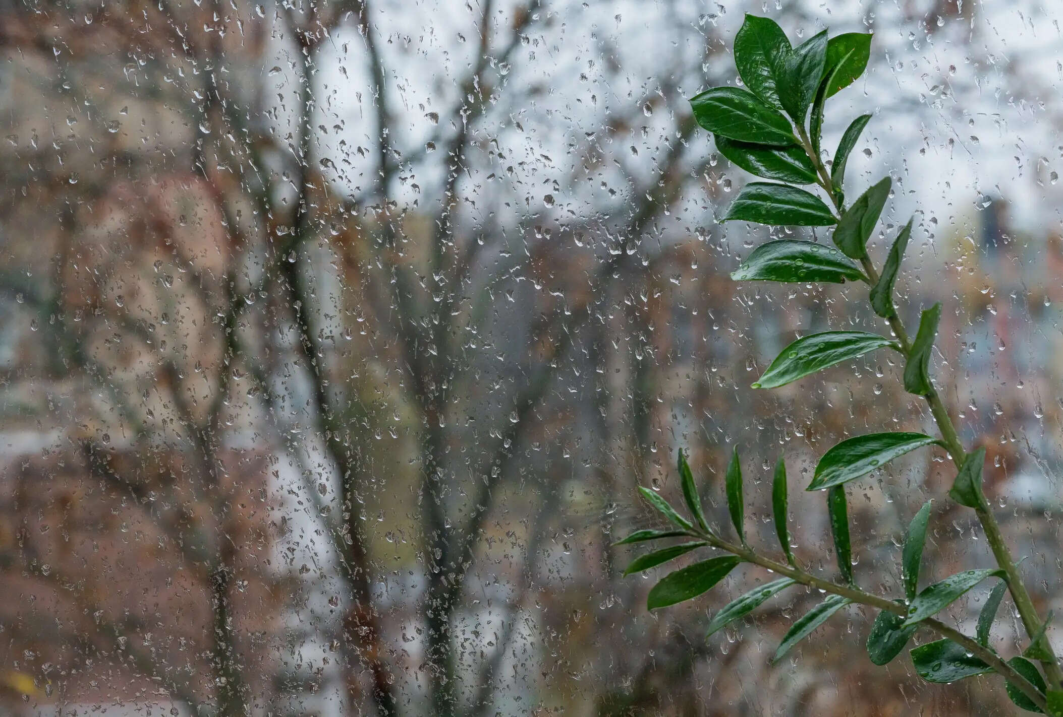 Transform Your Home into a Cozy Retreat This Monsoon