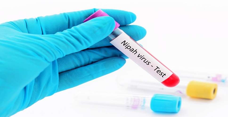 Nipah outbreak: No new case in Kerala, 42 samples test negative