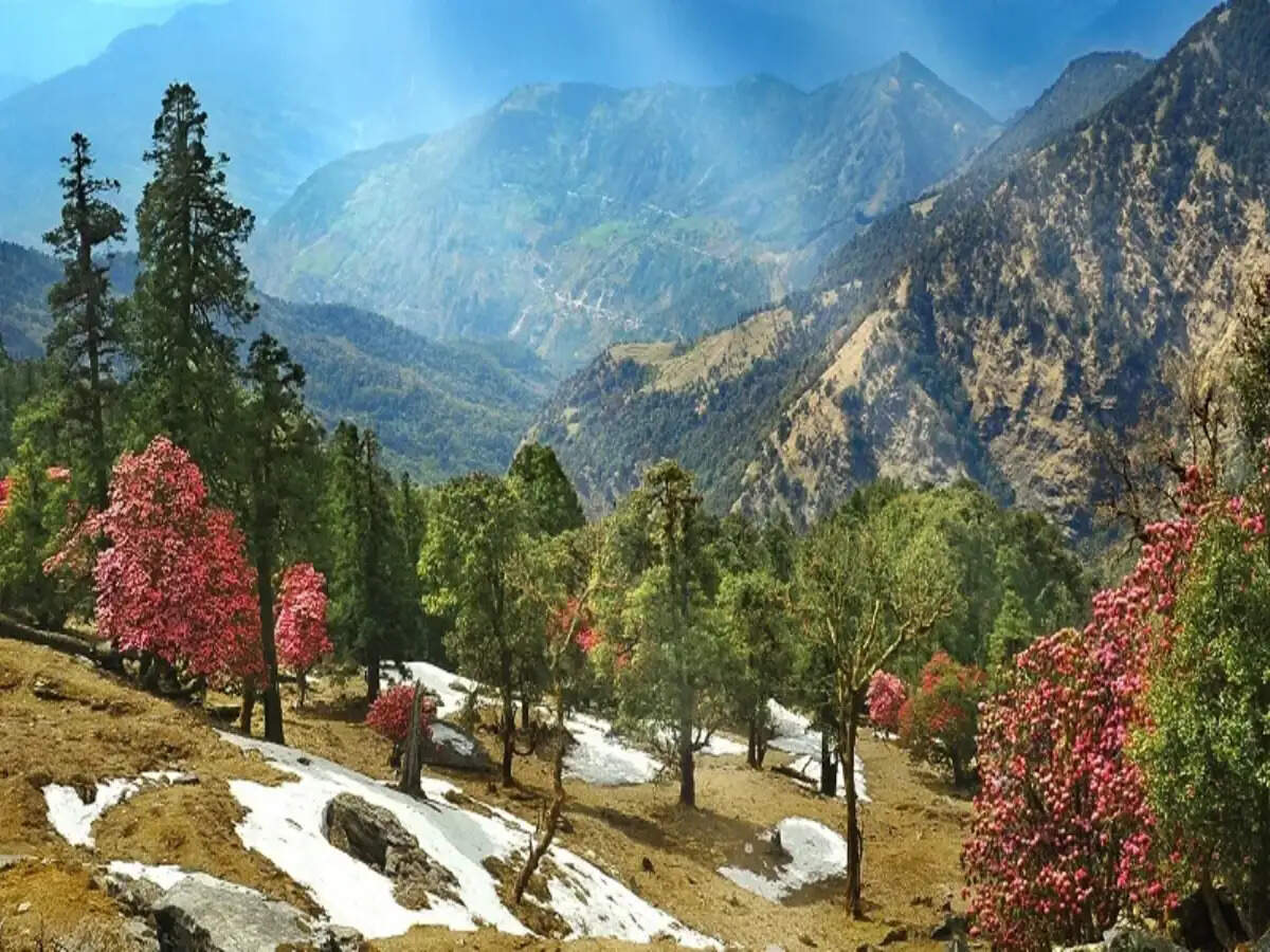 Essential Travel Tips for November Adventures