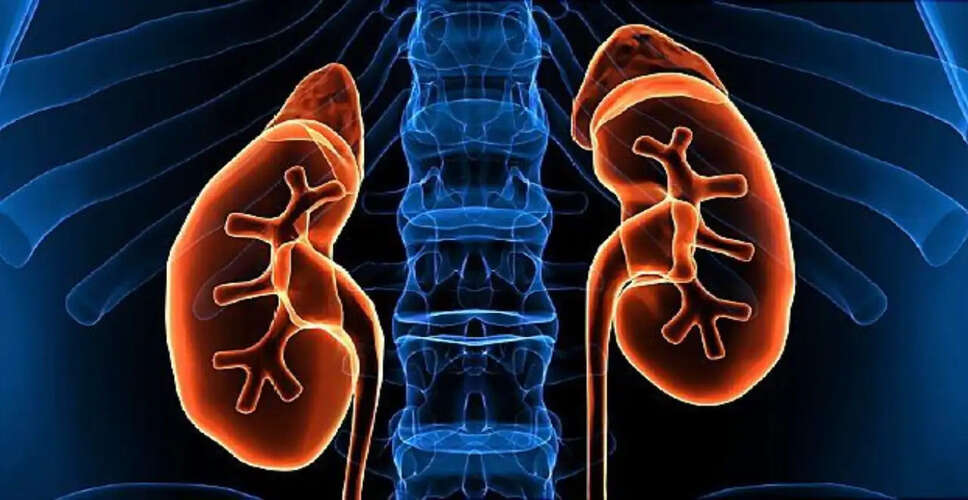 Understanding Kidney Health: A Growing Concern in India