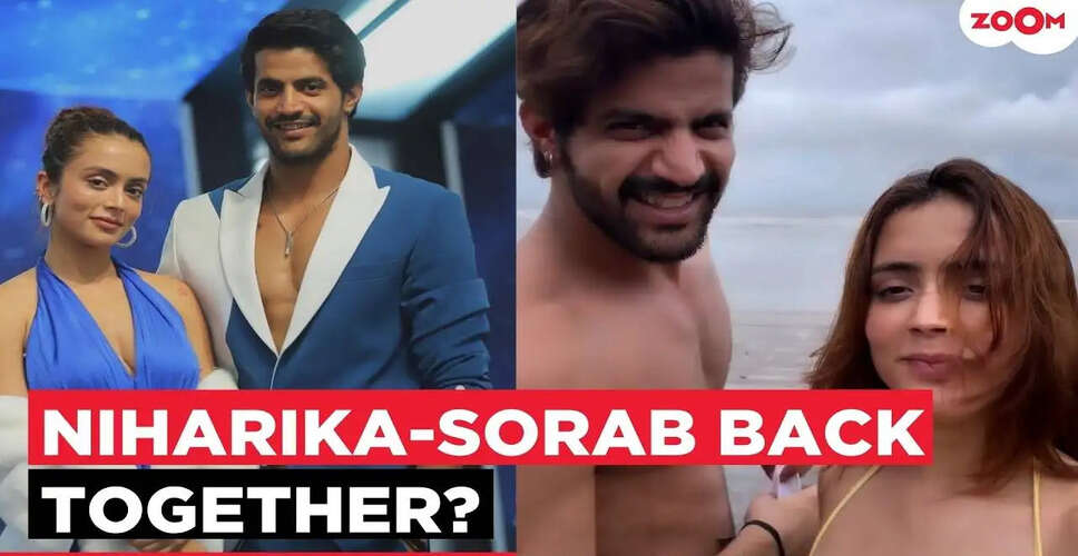 Are Niharika and Sourabh from Splitsvilla 16 Back Together? Fans Are Buzzing!