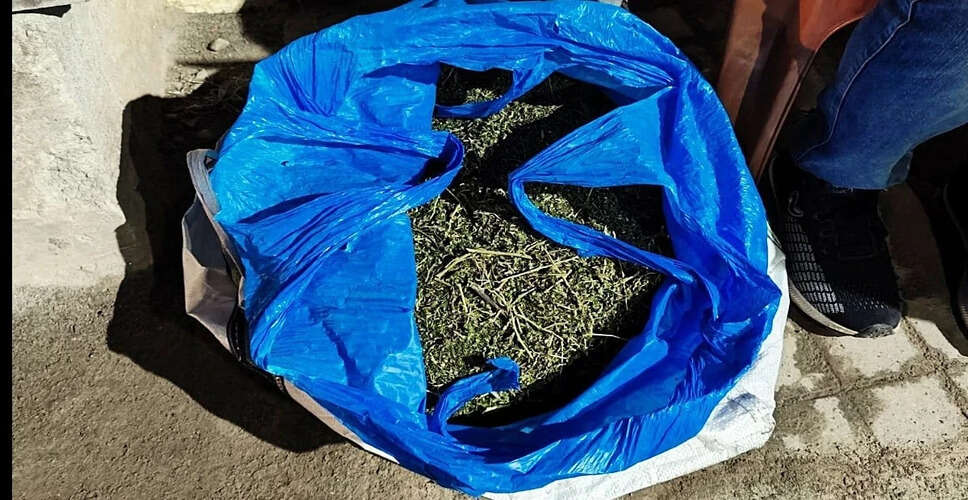 Major Drug Bust in Bhadohi: Police Seize 378 Kilograms of Illegal Cannabis