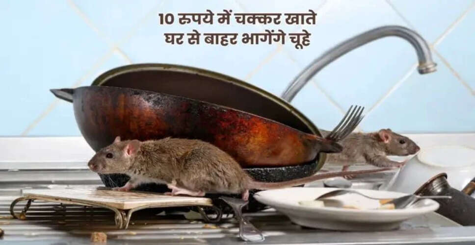 Effective Ways to Keep Mice Away Using Banana Peels