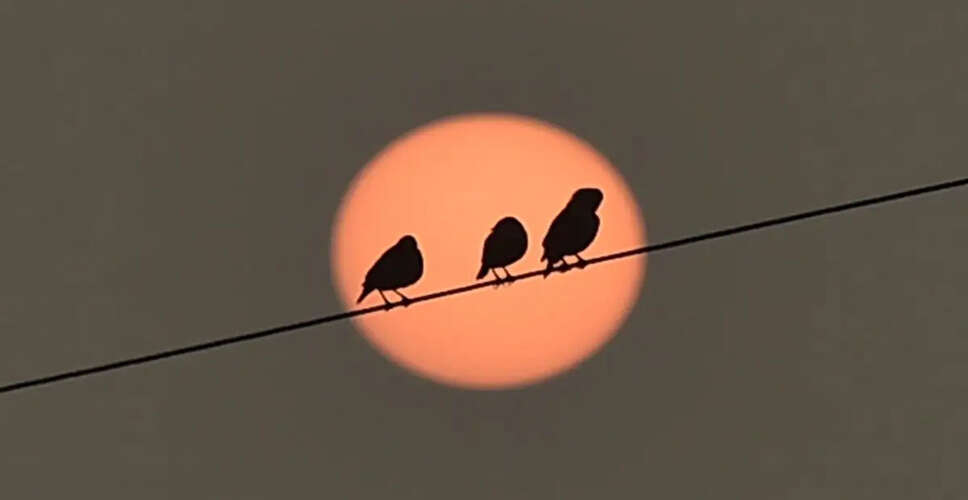 ISRO Scientists Discover Solar Activity Helps Reduce Space Debris