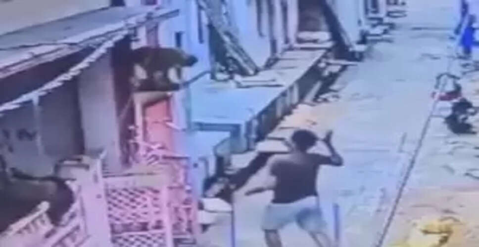 Who Really Rules the Streets? Hilarious Showdown Between Man and Monkeys Goes Viral!