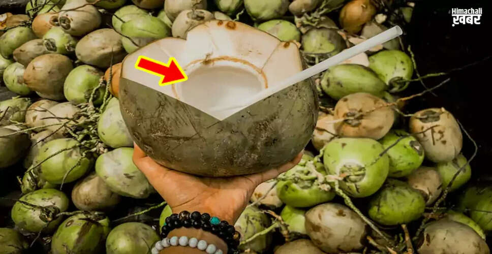 Tips for Selecting the Ideal Coconut: Water vs. Cream