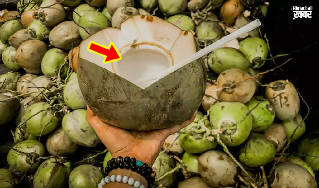 Tips for Selecting the Ideal Coconut: Water vs. Cream