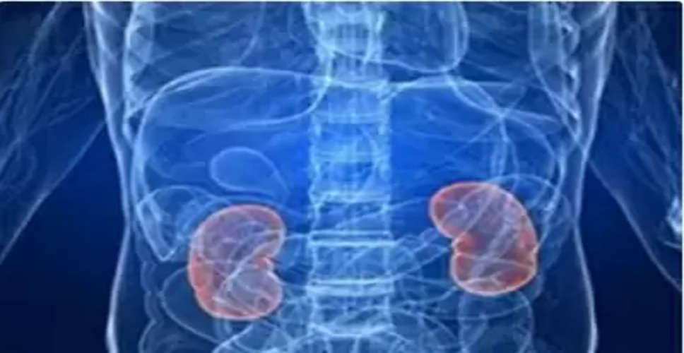 Untreated kidney stones can cause cancer