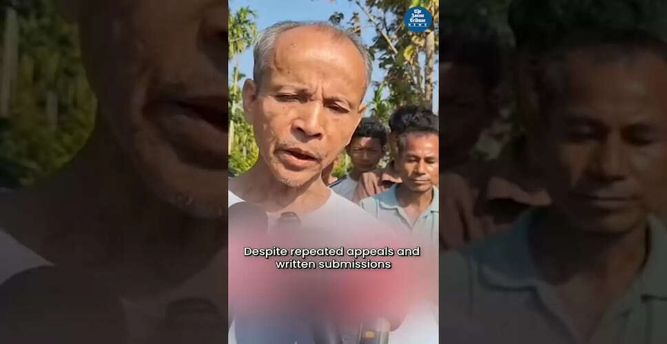 Exploring the Latest Trends in Video Content Creation