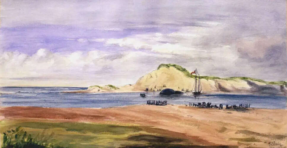 Unveiling the Hidden Contributions of Female Artists in History