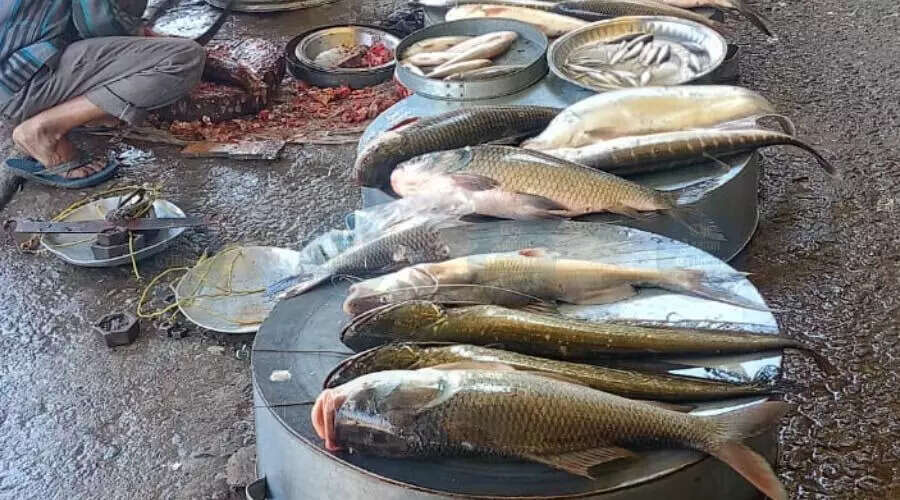 Uzanbazar Fish Market: A Vibrant Hub for Bhogali Celebrations