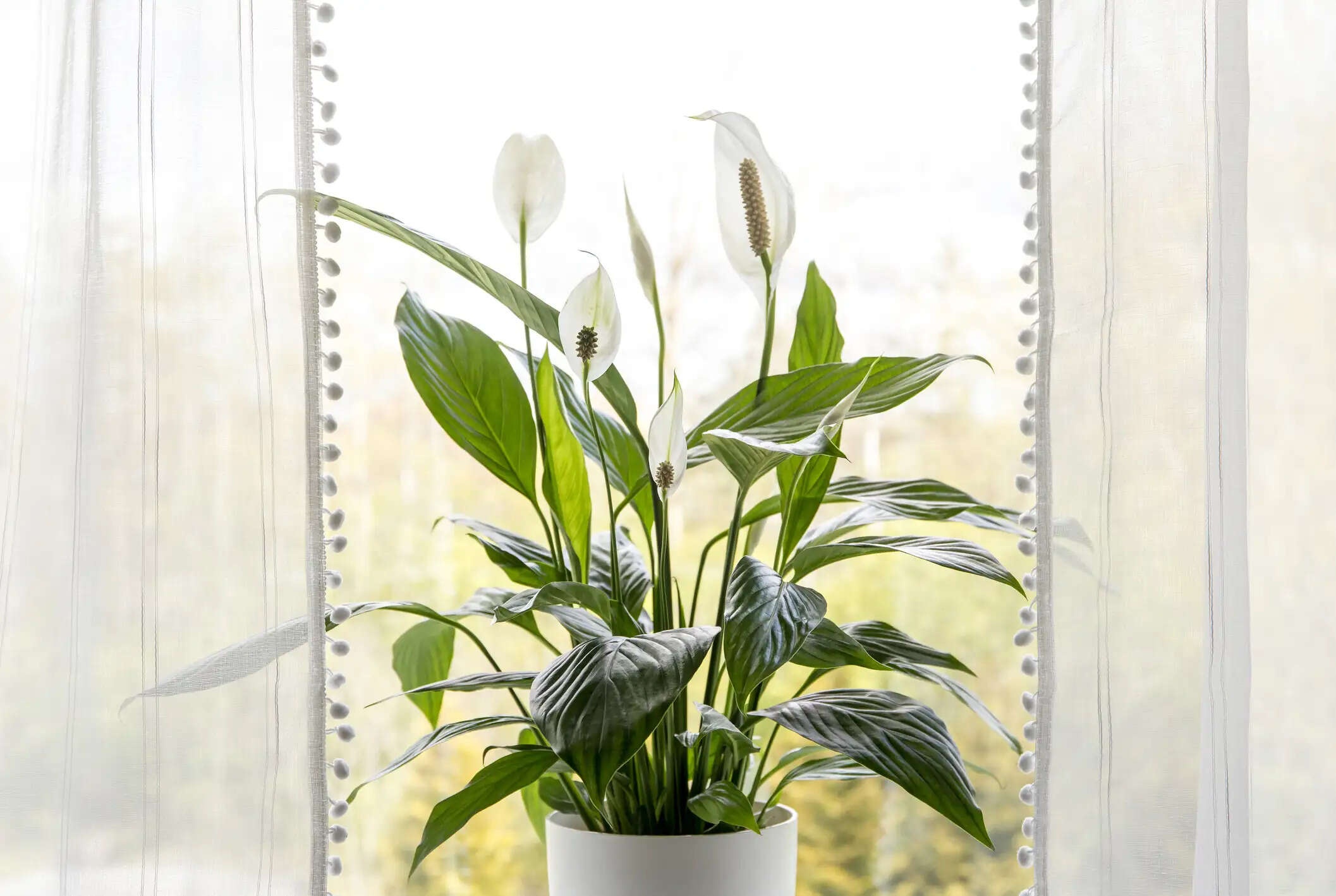 Transform Your Home into a Cozy Retreat This Monsoon