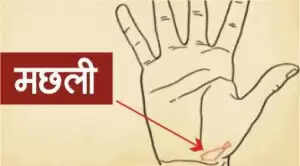 हाथ की रेखाओं में छिपे भाग्य के संकेत
