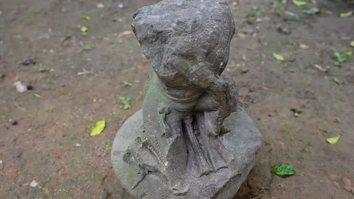 Ancient Artefacts Unearthed in Karbi Anglong: A Glimpse into Assam's Rich Heritage