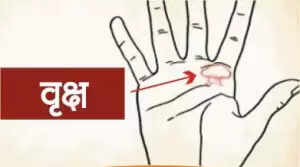हाथ की रेखाओं में छिपे भाग्य के संकेत