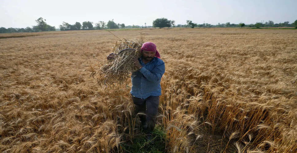 India's Fertilizer Supply Remains Robust Amid Challenges