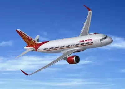 Peeing case: Air India deems Commander license suspension excessive, will aid in appeal