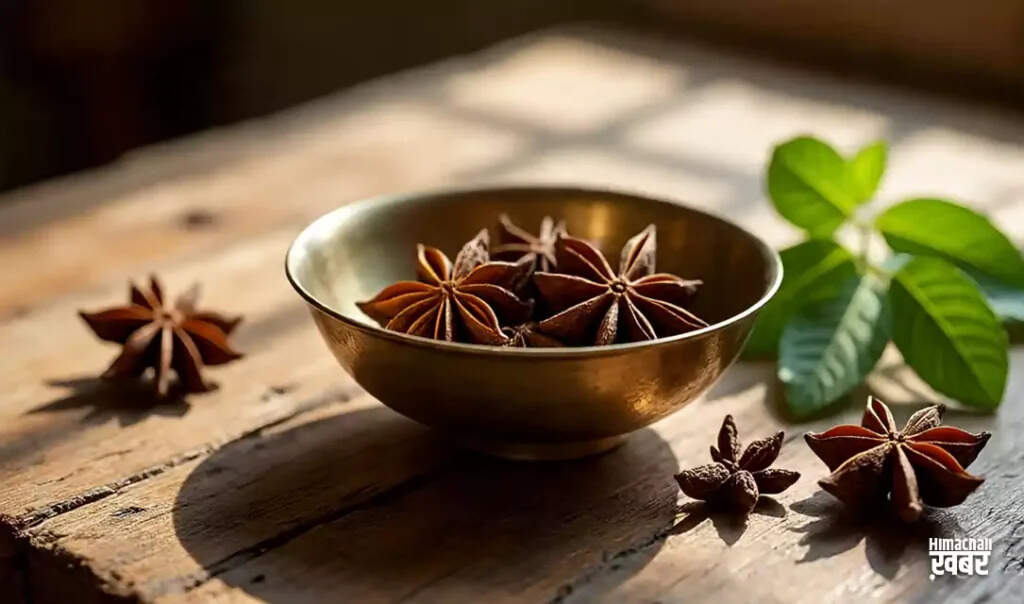 Exploring the Health Benefits of Star Anise: A Spice with Surprising Properties